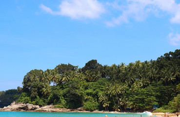 coconut palms on the beaches of asia in phuket in thailand, against the backdrop of mountains and blue sky in bounty style