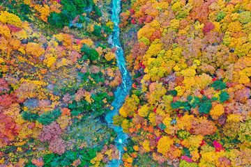 Fototapeta na wymiar The Mount Hakkoda in autumn 