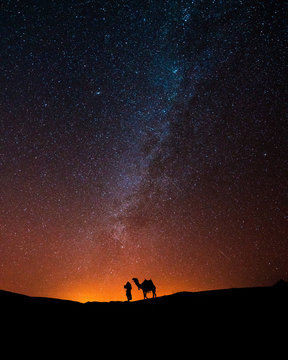 Silhouette of person and camel