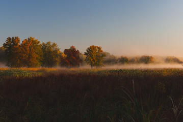 Obraz na płótnie Canvas Morning Mist Rolling in from Forest and Plains in Autumn near Ottawa, Ontario