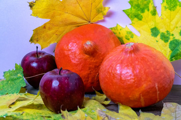 Naklejka na ściany i meble Pumpkins, maple leaves and apples. Happy Thanksgiving.