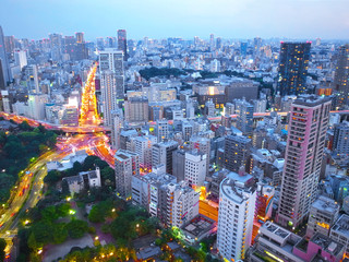 Fototapeta premium 【東京の夜景】東京タワーから見た風景