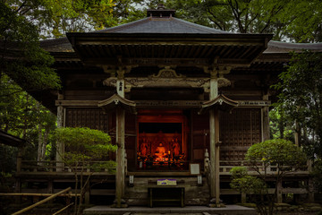 The Mine Yakushido Hall in Chuson-ji Temple, Japan
