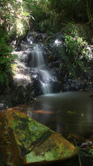 waterfall in forest