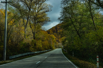 Autumnal road landscape