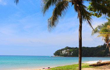 coconut palms on the beaches of asia in phuket in thailand, against the backdrop of mountains and blue sky in bounty style