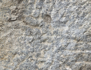 Texture of a building stone