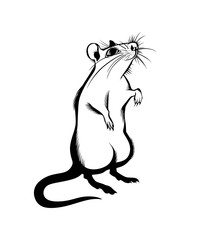 rat, isolated monochrome image, drawn with strokes. Symbol of the year 2020 according to the Chinese calendar