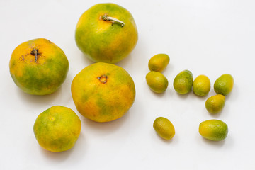 Kumquat and green tangerines on a white background. Oranges of different sizes