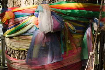 Seven colored sacred cloth tied around a tree in temple for good health
