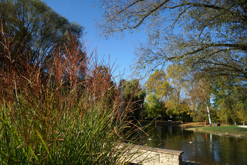 Fountains and garden pond in a public park invite you to relax