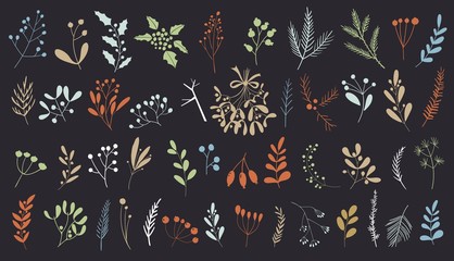 Hand drawn vector winter elements. Christmas design. Christmas set of plants with flowers, spruce branches, leaves and berries. New year icons. Set of plants.