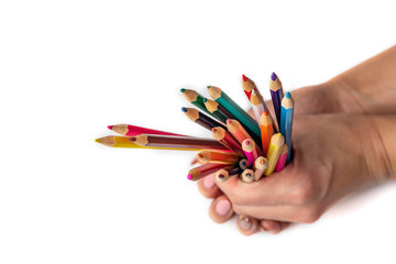 bunch of colored pencils in hand. A woman's hand holds a set of colored pencils on a white background