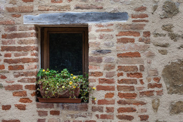 Fototapeta na wymiar Old wood framed window in stone wall potted flowers sitting in window seal textured background