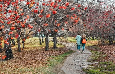  Girls walk in the autumn park among rowan trees.