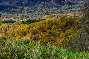 Autumnal travel landscape