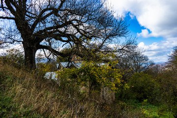 Obraz premium Autumnal travel landscape