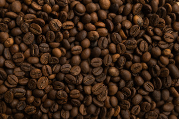 Small coffee beans texture background