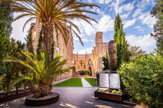 Esgesia Nova Spanish church without roof, entrnce of palm trees leading into garden, sunny day with blue sky and white clouds, Son Servera, Mallorca, Spain