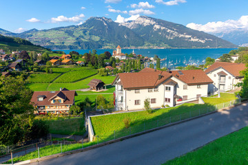 The traditional alpine village Spiez near Lake Thun. © pillerss