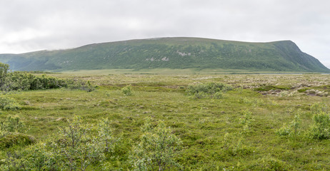 green countryside, near Nordmela, Norway