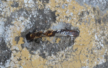 rusty iron ring on concrete floor