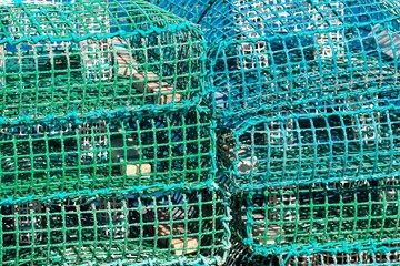 traditional traps for capture fisheries and seafood