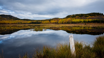 Yukon, Canada: peaceful fall landscape with the sky reflection in the pond