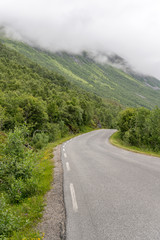 road bending on green slopes in birch wood, near Bogen, Norway