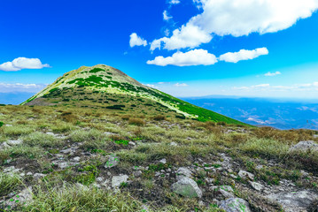 Amazing alpine landscape, sunny green hills under blue sky. Pirin mountain, Bezbog peak, Balkans, Bulgaria.