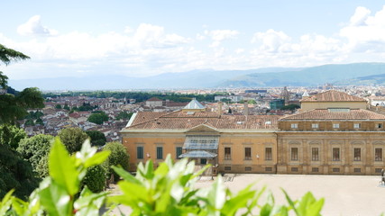 Blick auf Florenz