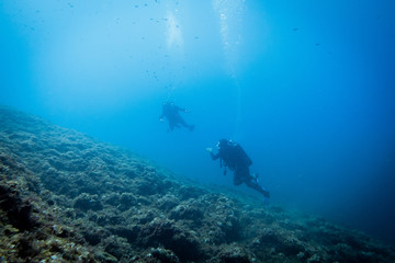 Fototapeta na wymiar Underwater X