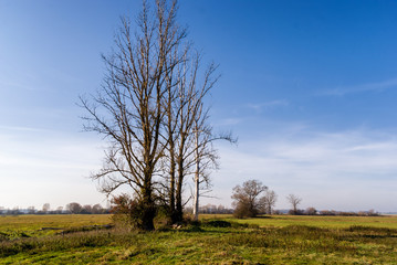 Dolina rzeki Supraśl, jesienny dzień nad rzeką Supraśl, Podlasie, Polska © podlaski49