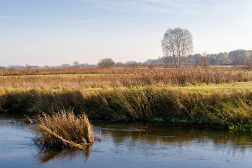 Dolina rzeki Supraśl, jesienny dzień nad rzeką Supraśl, Podlasie, Polska © podlaski49