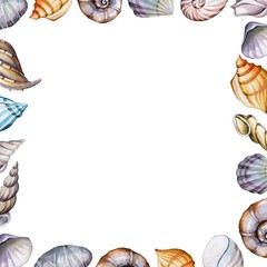 Frame of seashells. Watercolor background for greeting card.