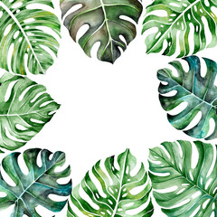 Background from tropical leaves. Watercolor