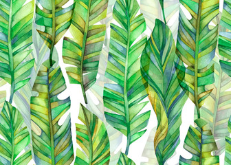 Seamless watercolor pattern of large leaves. Floral ornament.