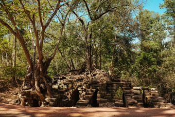 Fototapeta premium Angkor Wat Temple in Cambodia near Siem Reap city in Asia