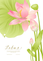 Pink Lotus. Template for wedding invitation, greeting card, banner, gift voucher, label. Vector illustration