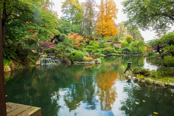 Fototapeta na wymiar Fantastic autumn in Japanese garden in Kaiserslautern. Scenic Pond with orange colors , colorful carps KOI in water