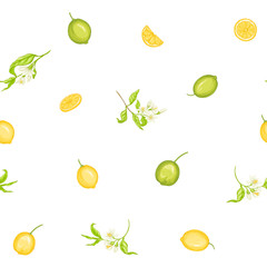 Lemon tree branch with lemons, flowers and leaves. Seamless pattern, background. Colored vector illustration. Isolated on white background..