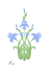 Fototapeta na wymiar Iris, fleur-de-lis, flower-de-luce, flag color illustration In art nouveau style, vintage, old, retro style. Vector illustration.