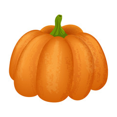 Bright orange pumpkin on a white background.