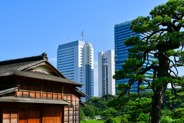 Fototapeta premium Traditional tea house with city skyline in background, Hamarikyu Gardens, Chuo City, Tokyo, Honshu, Japan