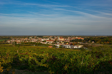 Fototapeta na wymiar Landscape view on South Moravian town Valtice, Czech Republic. Looking through extensive vineyards.
