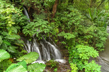 Cascada Parque Uruapan