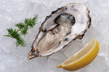 Fresh oysters platter with sauce and lemon