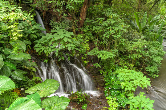Cascada Parque Uruapan