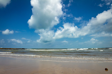 Fototapeta na wymiar Beautiful lonely beach in northern Brazil. Calm coastal landscape