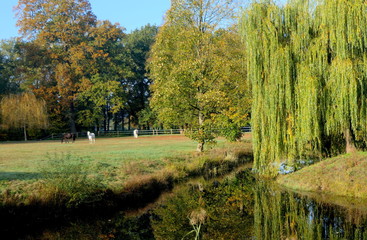 Teich mit Bäumen und Pferdekoppel